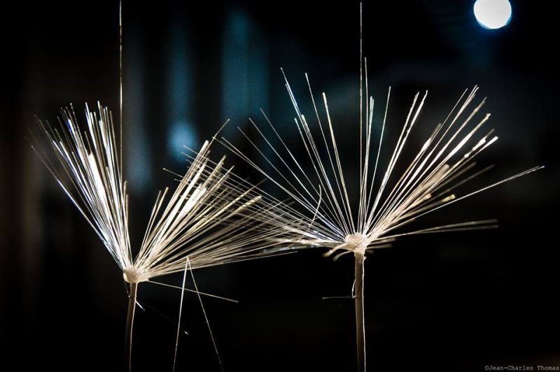 H&eacute;l&egrave;ne Tardy