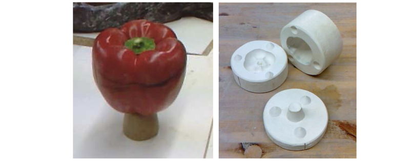 Anne-C&eacute;cile Colonna