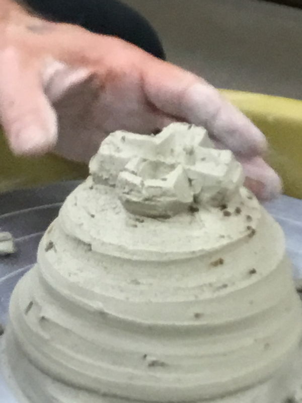 V&eacute;ronique Vaude