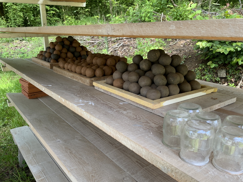 St&eacute;phanie Dotter