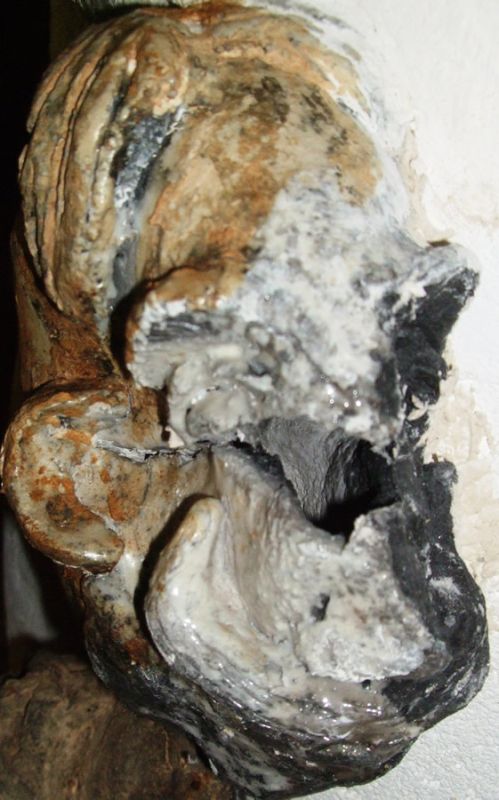 Gueules cass&eacute;es