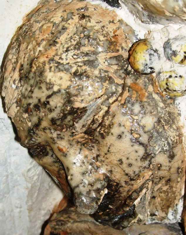 Gueules cass&eacute;es