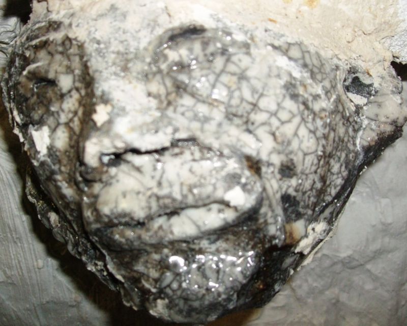 Gueules cass&eacute;es