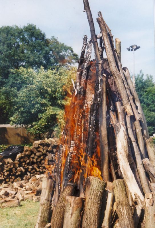 F&ecirc;te de la terre