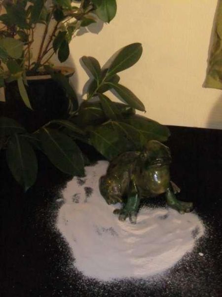 Centre de d&eacute;tention