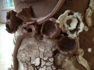 Projet avec le coll&egrave;ge Vandoeuvre