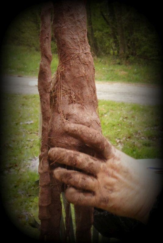 R&ecirc;ves de terre