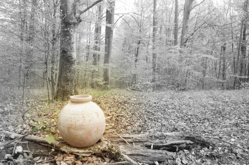 R&ecirc;ves de terre