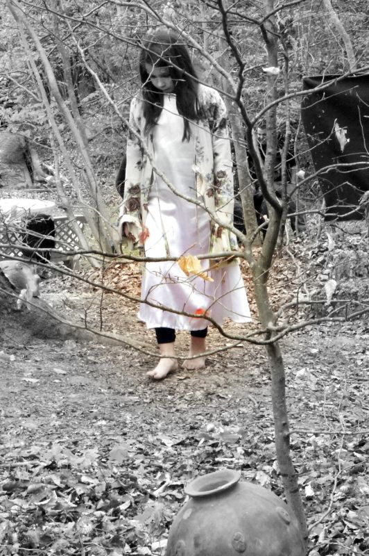 R&ecirc;ves de terre