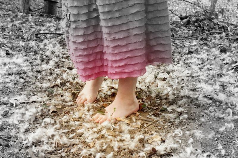 R&ecirc;ves de terre