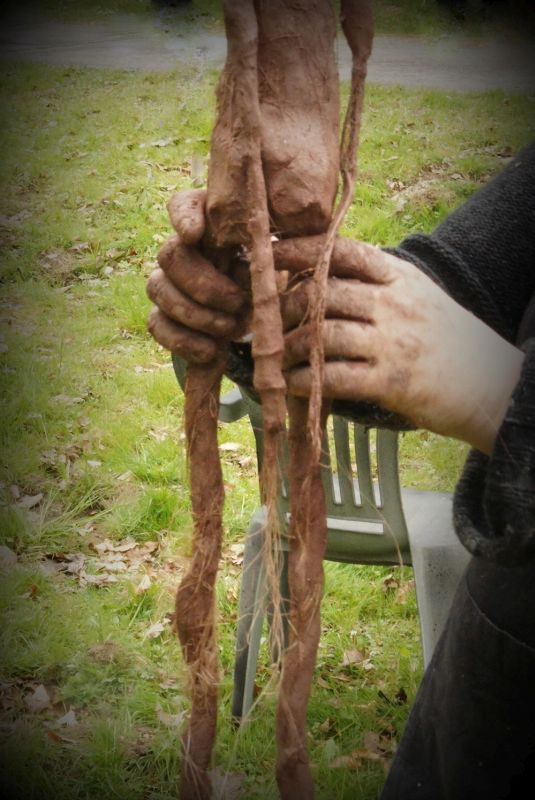 R&ecirc;ves de terre