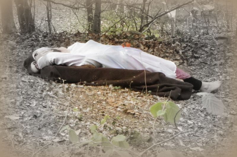 R&ecirc;ves de terre