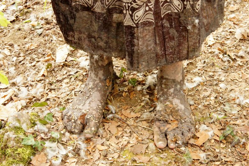 R&ecirc;ves de terre