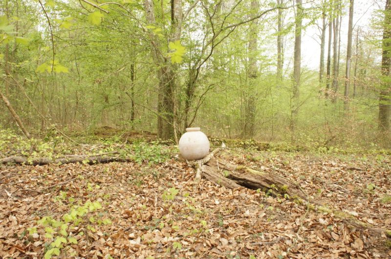 R&ecirc;ves de terre