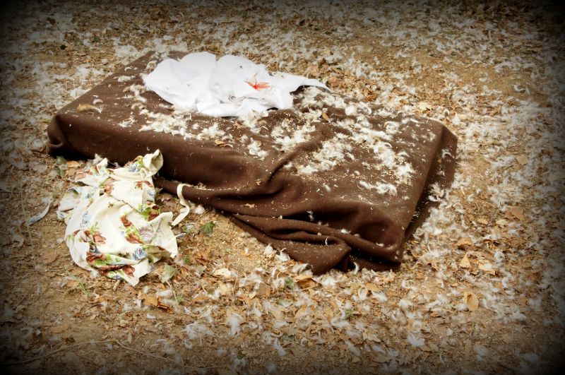 R&ecirc;ves de terre