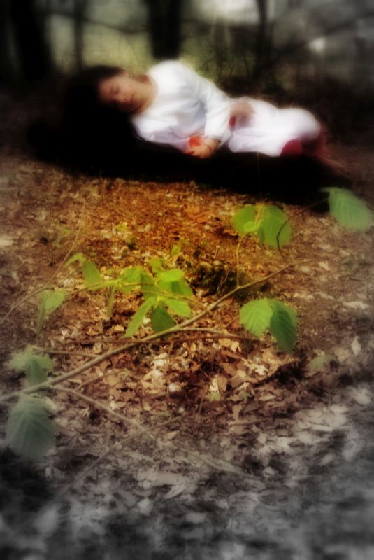 R&ecirc;ves de terre