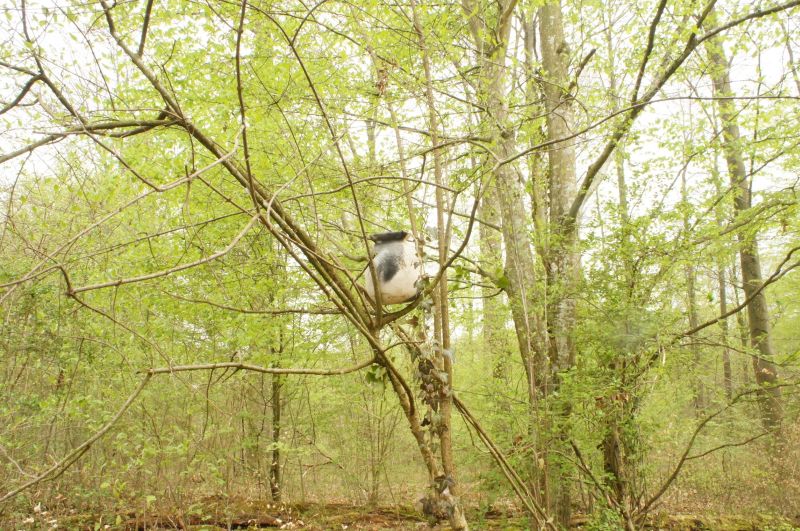 R&ecirc;ves de terre