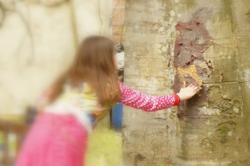 R&ecirc;ves de terre