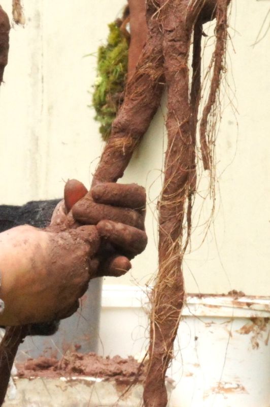 R&ecirc;ves de terre