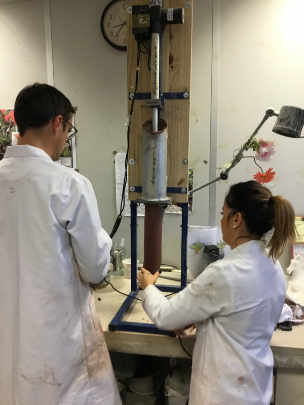 Formation grand format, Entreprise Daum