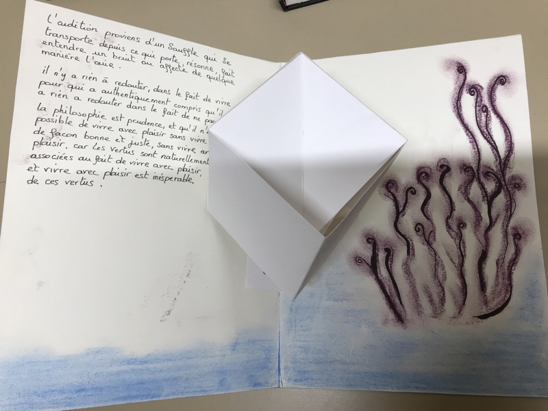 Projet Livre Pop'Up Trigami