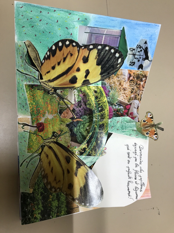 Projet Livre Pop'Up Trigami