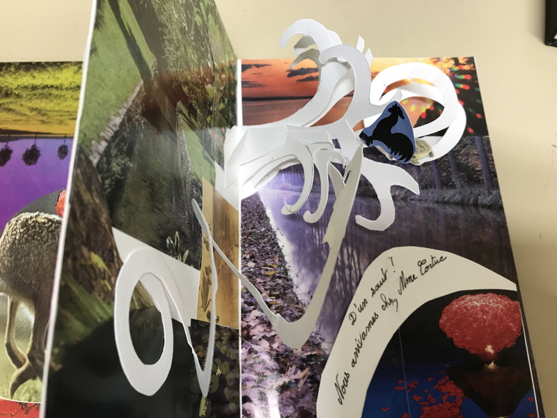 Projet Livre Pop'Up Trigami