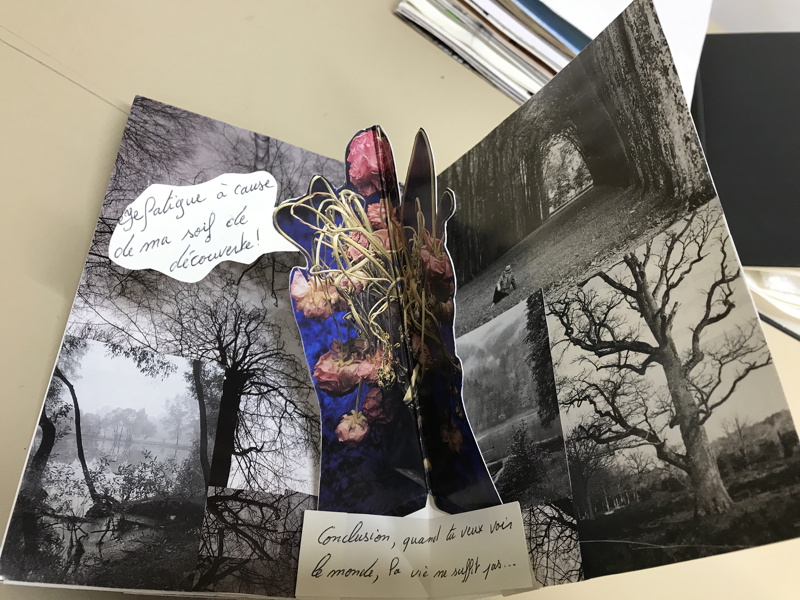 Projet Livre Pop'Up Trigami